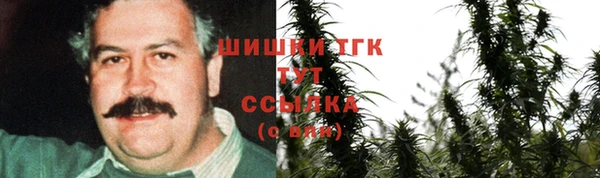 сатива Вяземский