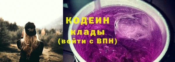 сатива Вяземский