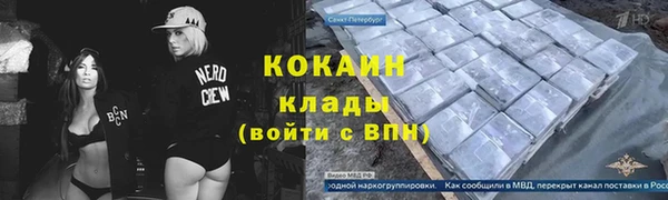 сатива Вяземский