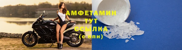 сатива Вяземский