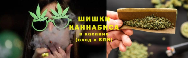 сатива Вяземский