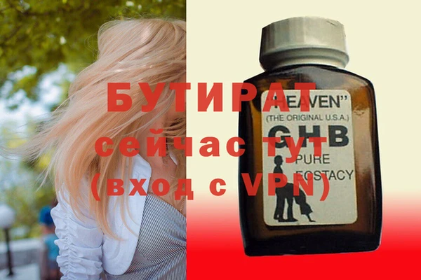 сатива Вяземский