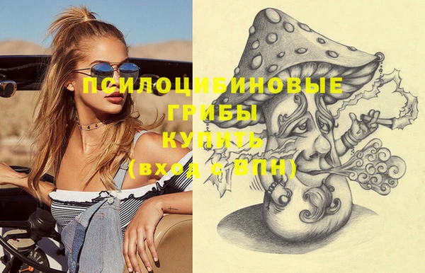 сатива Вяземский