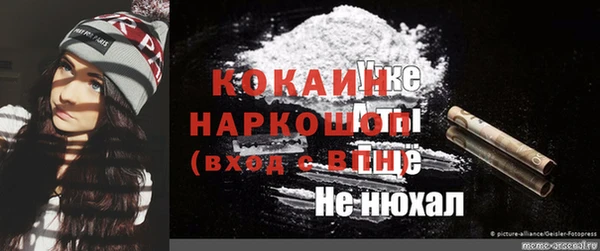 сатива Вяземский